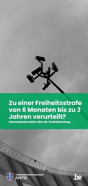 Zu einer Freiheitsstrafe von 6 Monaten bis zu 3 Jahren verurteilt? Informationsbroschüre über die Strafvollstreckung