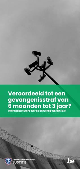 Veroordeeld tot een gevangenisstraf van 6 maanden tot 3 jaar? Informatiebrochure over de uitvoering van uw straf